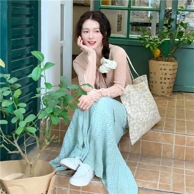 埃默里维尔实验